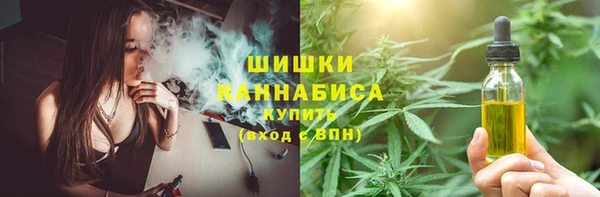шишки Балабаново