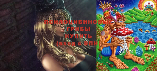 шишки Балабаново