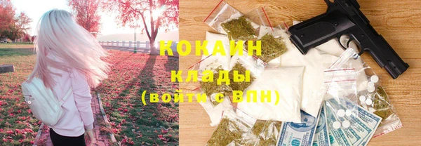 шишки Балабаново