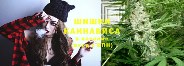 шишки Балабаново