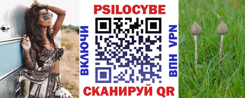 МЕГА ссылка  Свирск  нарко площадка официальный сайт  закладка  Псилоцибиновые грибы Cubensis 